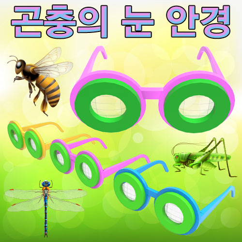 곤충의 눈 안경 만들기-칭찬나라큰나라